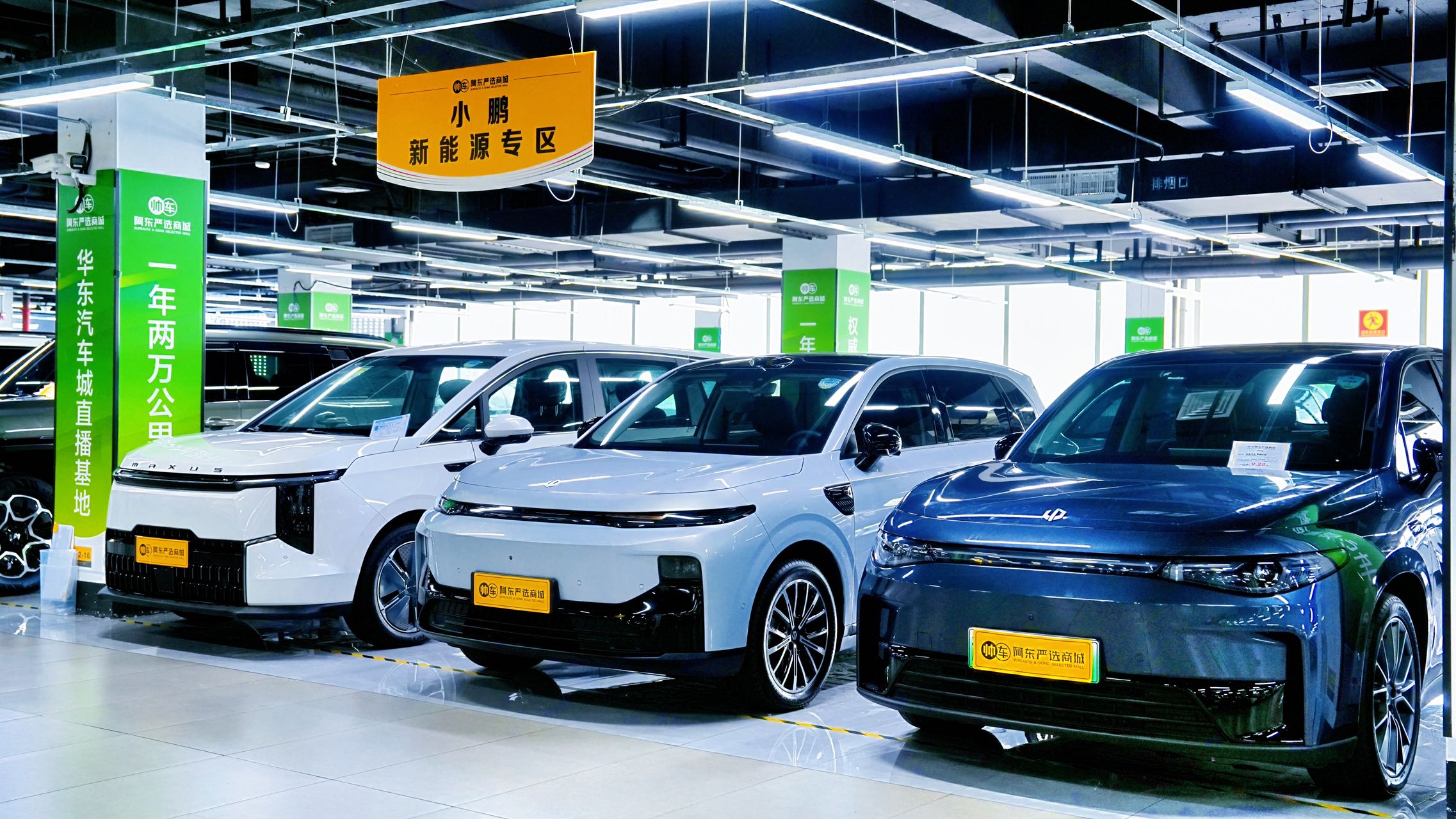粘贴的图片