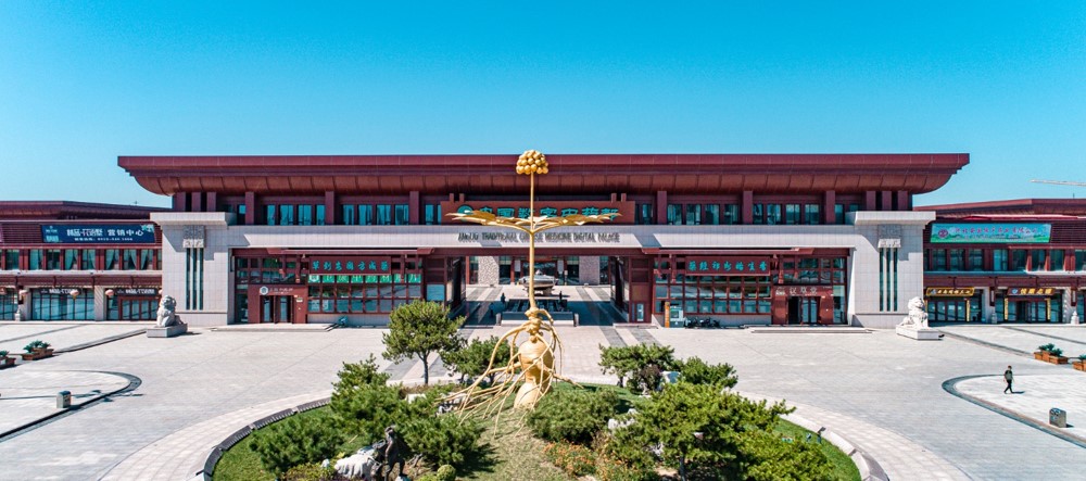 粘贴的图片